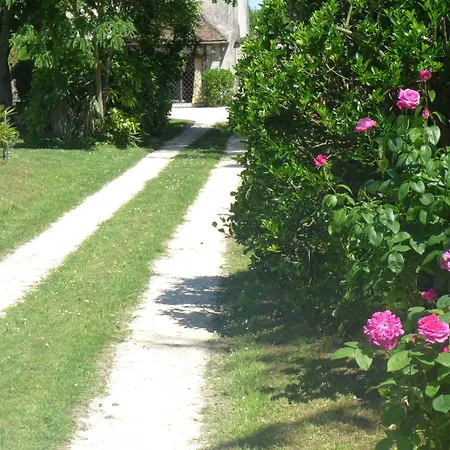 Bed and breakfast Ygeia 3*