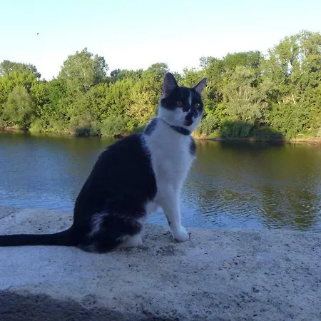 Ygeia Alojamento de Acomodação e Pequeno-almoço 3*