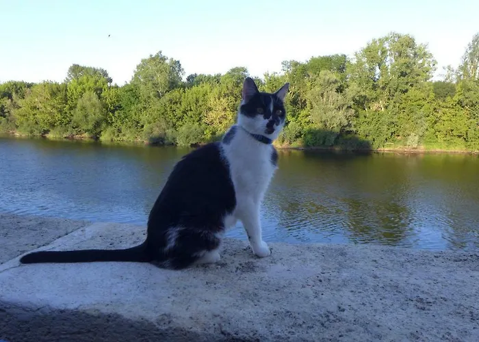 Ygeia Bed & Breakfast 3*